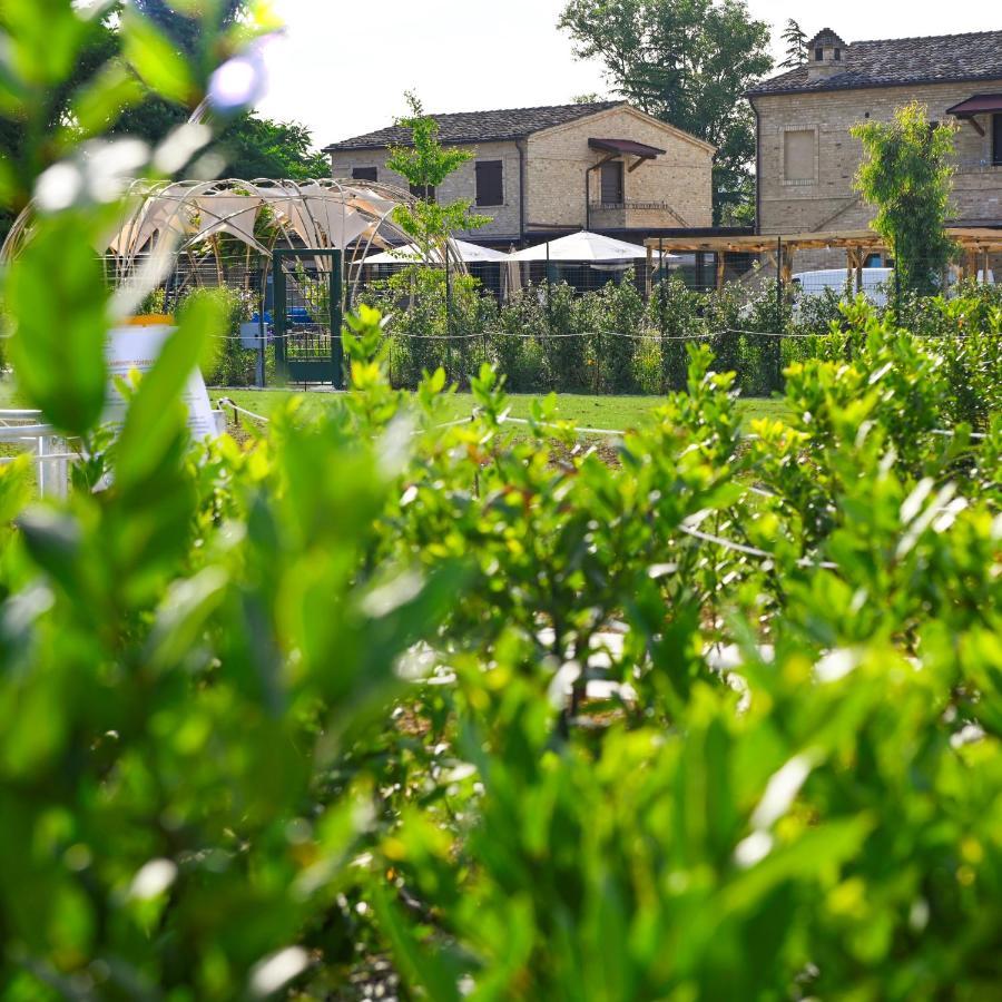 Moretti Village - Sophie Rooms Country House Civitanova Marche Exterior foto